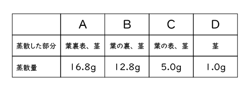 中学校1年生理科 植物の蒸散量 成果主義 Itto個別指導学院 長野市の学習塾